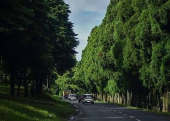 The Shillong-Dawki road (i_am.shillong/Instagram)