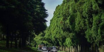 The Shillong-Dawki road (i_am.shillong/Instagram)