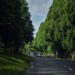 The Shillong-Dawki road (i_am.shillong/Instagram)