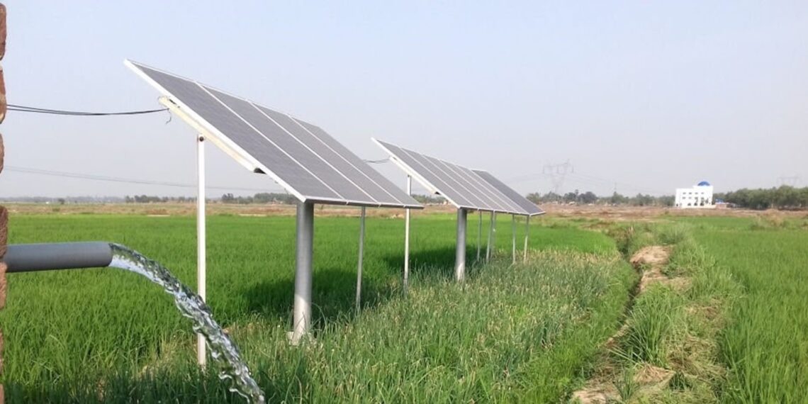 Representational image (pixabay)