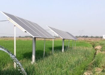 Representational image (pixabay)