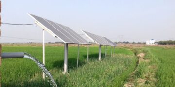 Representational image (pixabay)