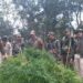 Tripura police destroys 40,000 ganja plants in South Nidaya Manaititta area