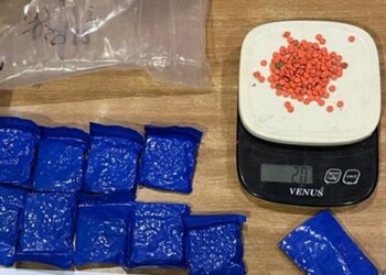 Customs Shillong seizes and destroys drugs worth over Rs 191 crore in multiple operations