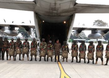 Indian Armed Forces’ ‘Exercise Devil Strike’ showcases operational excellence