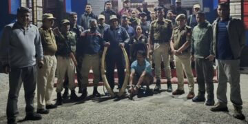 Assam Forest Dept seizes two elephant tusks in Udalguri; one held