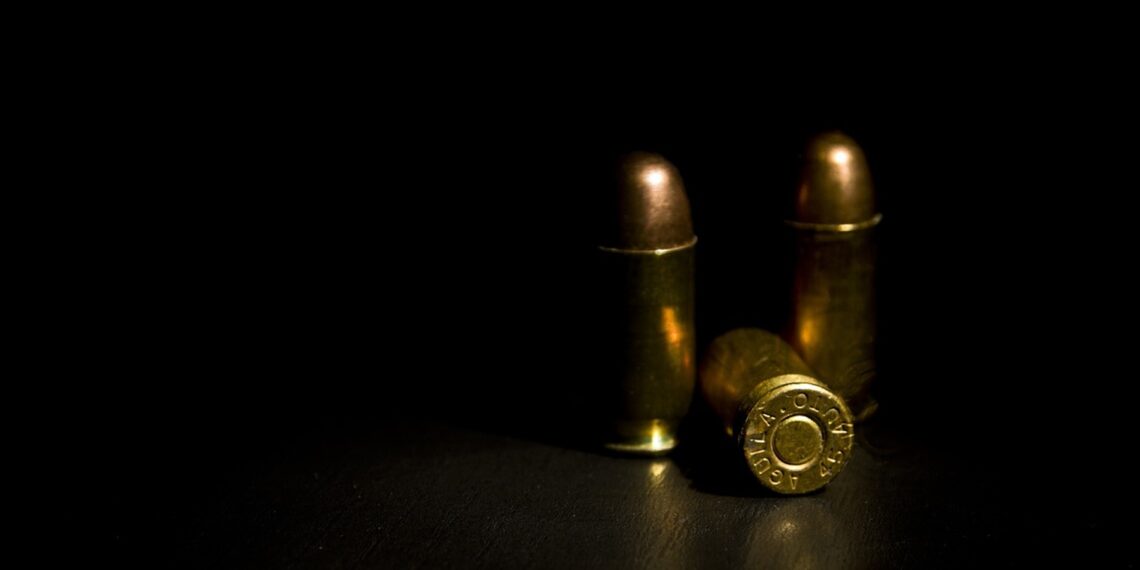 Representational image (pixabay)