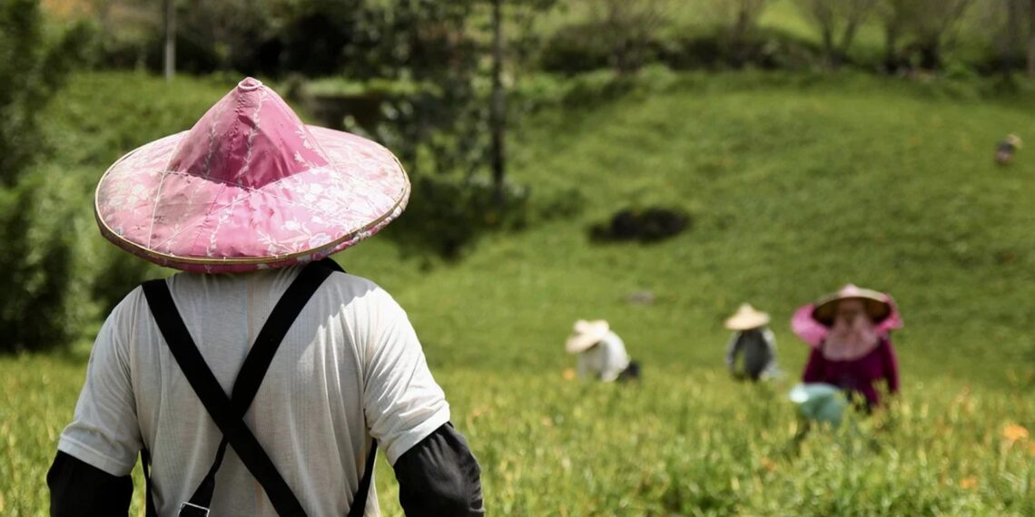 Representational image (pixabay)