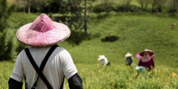 Representational image (pixabay)