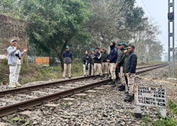 Assam, Arunachal Forest staff receive capacity-building training in Hoolock Gibbon conservation