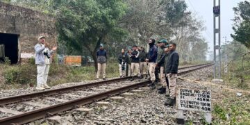 Assam, Arunachal Forest staff receive capacity-building training in Hoolock Gibbon conservation