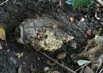 Manipur: Two hand grenades found near residence of former minister Bijoy Koijam