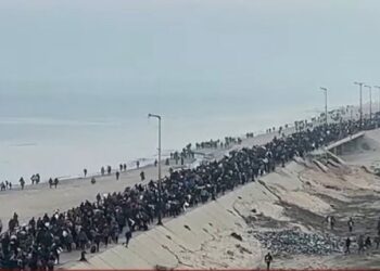 A file photo of Palestinians returning to North Gaza (AssalRad/X)