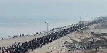 A file photo of Palestinians returning to North Gaza (AssalRad/X)