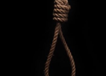 Representational image (pixabay)