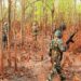 Security forces gunned down 31 Naxalites in Chhattisgarh (soumyajitt/X)