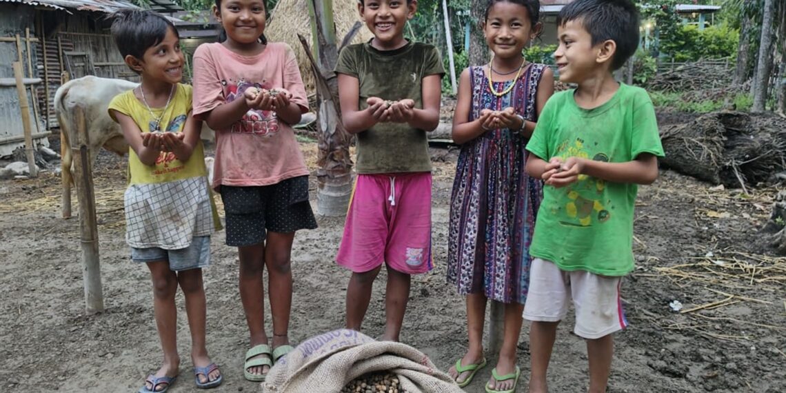 Community-driven nursery supports habitat restoration for elephants in Assam