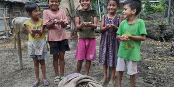 Community-driven nursery supports habitat restoration for elephants in Assam