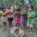 Community-driven nursery supports habitat restoration for elephants in Assam