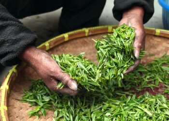 Representational image (pixabay)