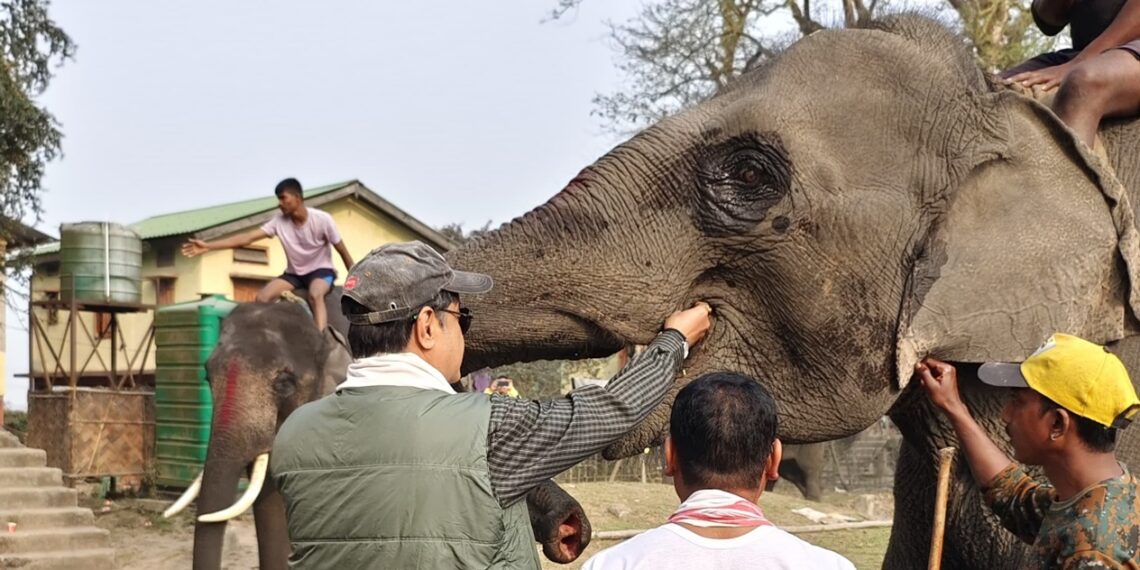 Assam: Pobitora Wildlife Sanctuary observes World Wetland Day with awareness programme