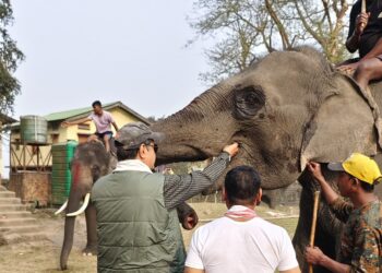Assam: Pobitora Wildlife Sanctuary observes World Wetland Day with awareness programme