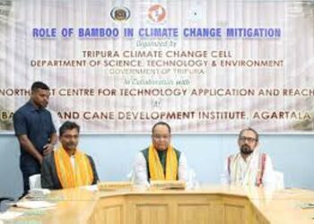 Tripura govt submits 4 DPRs to Centre for bamboo plantation to combat climate change