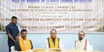 Tripura govt submits 4 DPRs to Centre for bamboo plantation to combat climate change