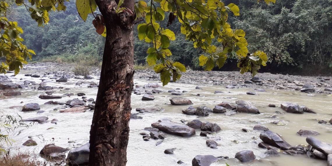 Nagaland University teams up with locals to protect indigenous fish species