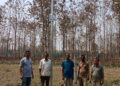 Aaranyak installs 25 solar street lights in HEC-hit villages in Goalpara, West Garo Hills