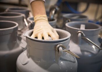 Representationsl image (pixabay)