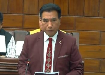 Mizoram Chief Minister Lalduhoma (airnewsalert/X)