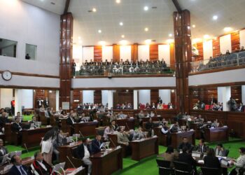 Nagaland Legislative Assembly (RajBhavanKohima/X)