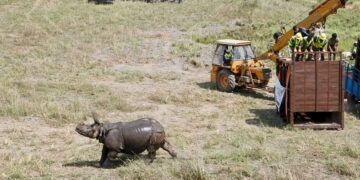 Two greater one-horned rhinos released at Dudhwa Tiger Reserve in Uttar Pradesh
