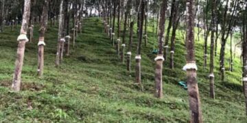 Tripura to host first-ever CII Rubber Component Expo 2025