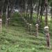 Tripura to host first-ever CII Rubber Component Expo 2025