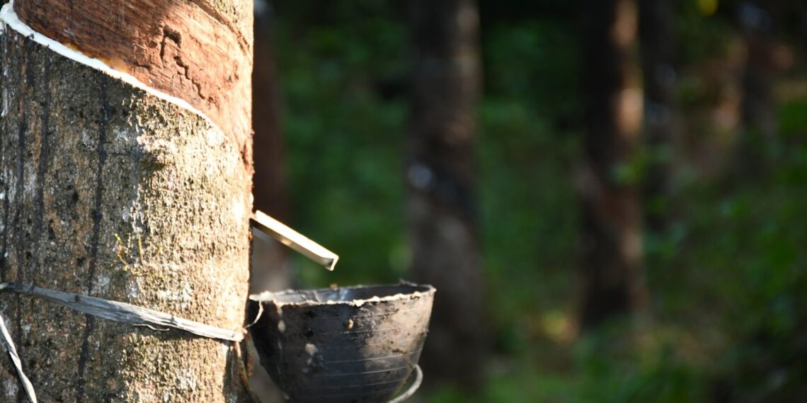 Representational image (pixabay)