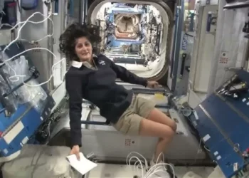 NASA-SpaceX postpone mission to rescue stranded astronauts Sunita Williams, Butch Wilmore