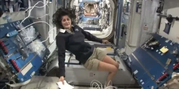 NASA-SpaceX postpone mission to rescue stranded astronauts Sunita Williams, Butch Wilmore