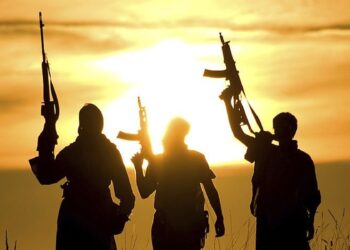 Representational image (pixabay)