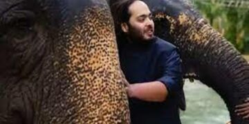 Maharashtra govt keen on Vantara-like project, seeks Anant Ambani’s support