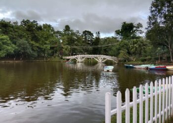 Ward's Lake in Shillong, Meghalaya
