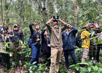 ‘Primate Watch’ at Assam’s Hoollongapar Gibbon Sanctuary to raise awareness