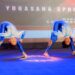 India to host 2nd Asian Yogasana Championship in New Delhi