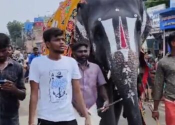 Over 50 veterinarians demand Assam’s captive elephant Joymala’s immediate release from illegal temple custody