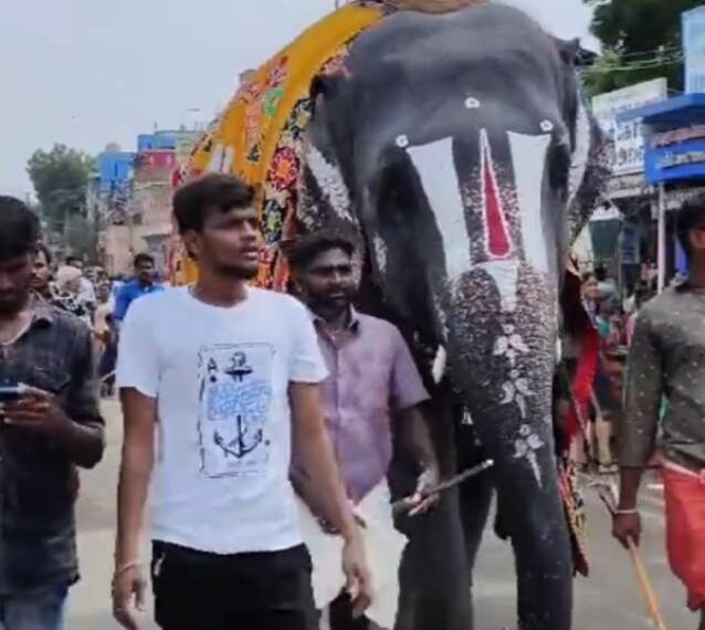 Over 50 veterinarians demand Assam’s captive elephant Joymala’s immediate release from illegal temple custody