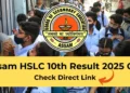 Download SEBA Assam HSLC Result 2025, Check details here