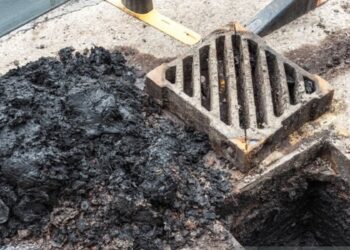 Representational image (pixabay)