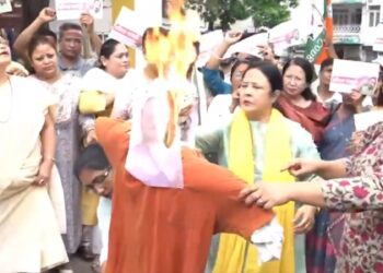 Congress burns effigy of Assam CM over ‘derogatory’ comments on women