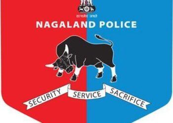 (DGP_Nagaland/X)